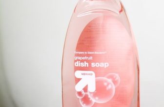 Clogged Toilet Dish Soap